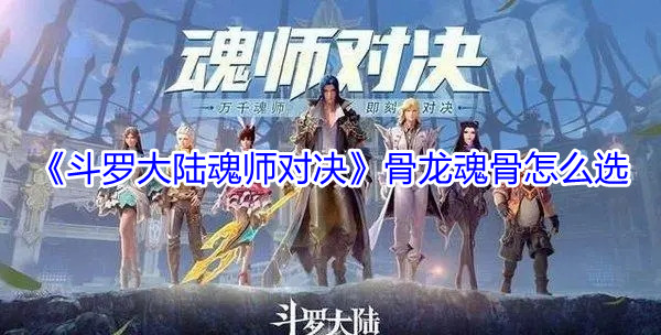 《斗罗大陆魂师对决》骨龙魂骨怎么选