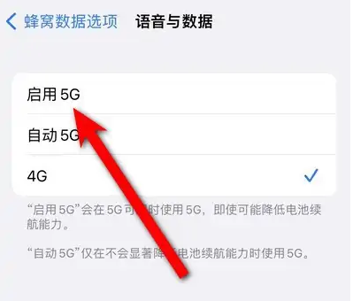 iphone14设置5g网络方法