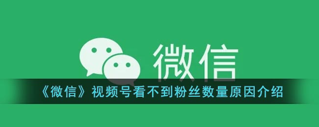 《微信》视频号看不到粉丝数量原因介绍