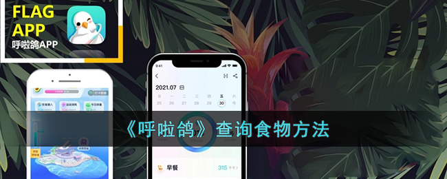 《呼啦鸽》查询食物方法