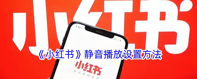 小红书怎么设置静音播放？